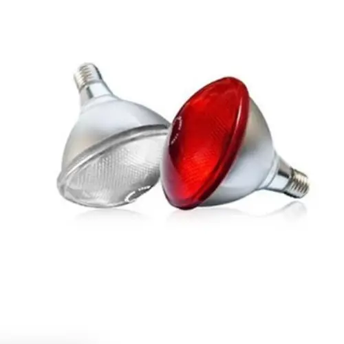 100 Watt InfraRed "Twin Pack" Bulb - The Chook Barn