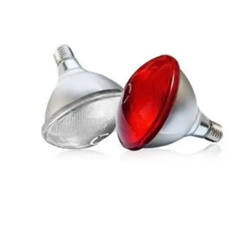 175 Watt InfraRed "Twin Pack" Bulb - The Chook Barn