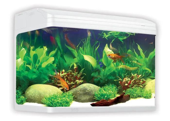 Aqua One AR620 AquaStyle Tank Gloss White 90L For Freshwater by Pet One