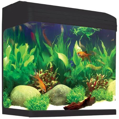 Aqua One AR620 Aquastyle Tank (Gloss Black ) 90L by Pet One