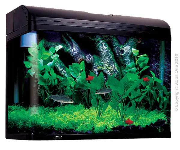 Aqua One Ar850 Aquastyle Tank (Gloss Black ) 165L by Pet One