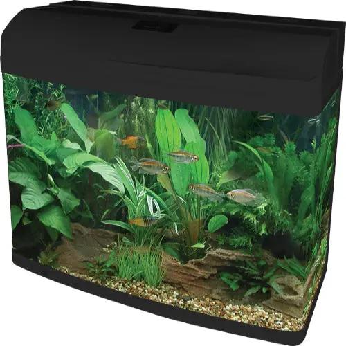 Aqua One AR980 Aquastyle Tank (Gloss Black ) 215L by Pet One