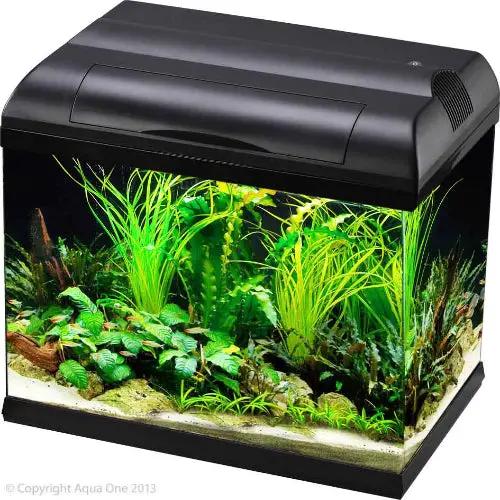 Aqua One Ecostyle 37 Rectangular Aquarium (Black) 21L by Pet One