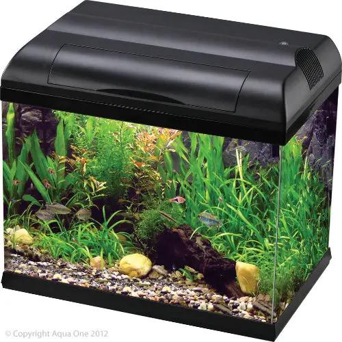 Aqua One Ecostyle 42 Rectangular Aquarium (Black) 28L by Pet One