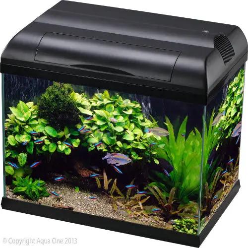 Aqua One Ecostyle 61 Rectangular Aquarium (Black) 70L by Pet One