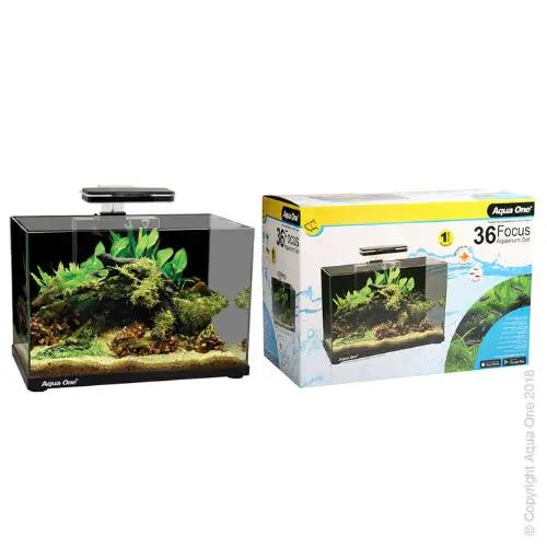 Aqua One Focus 36 Glass Aquarium 36L 50L X 25D X 34Cm H (Black) by Pet One