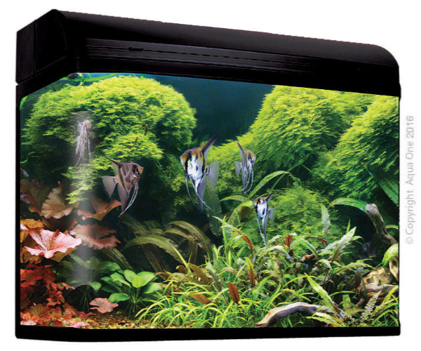 AquaStyle 980T 240L Tall Curved Glass Aquarium Gloss Black - The Chook Barn