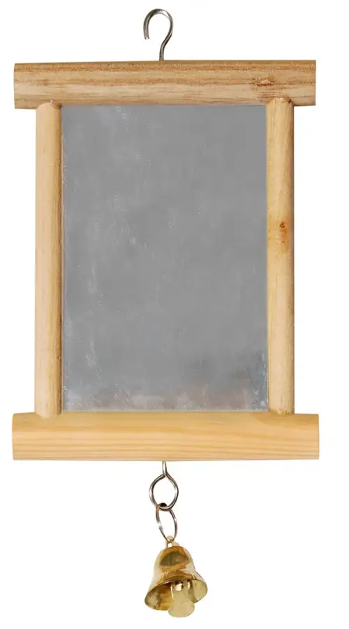 Avi One Bird Toy - Wood Framed Mirror W/Bell 15X10Cm by Pet One
