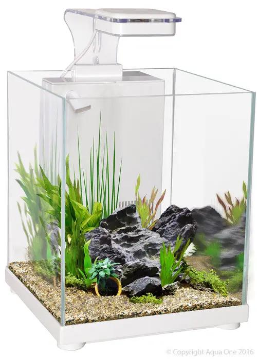 Betta Sanctuary Glass Aquarium 10L Betta Tank White 22.4W By 22.4D By 26.3cm by Pet One
