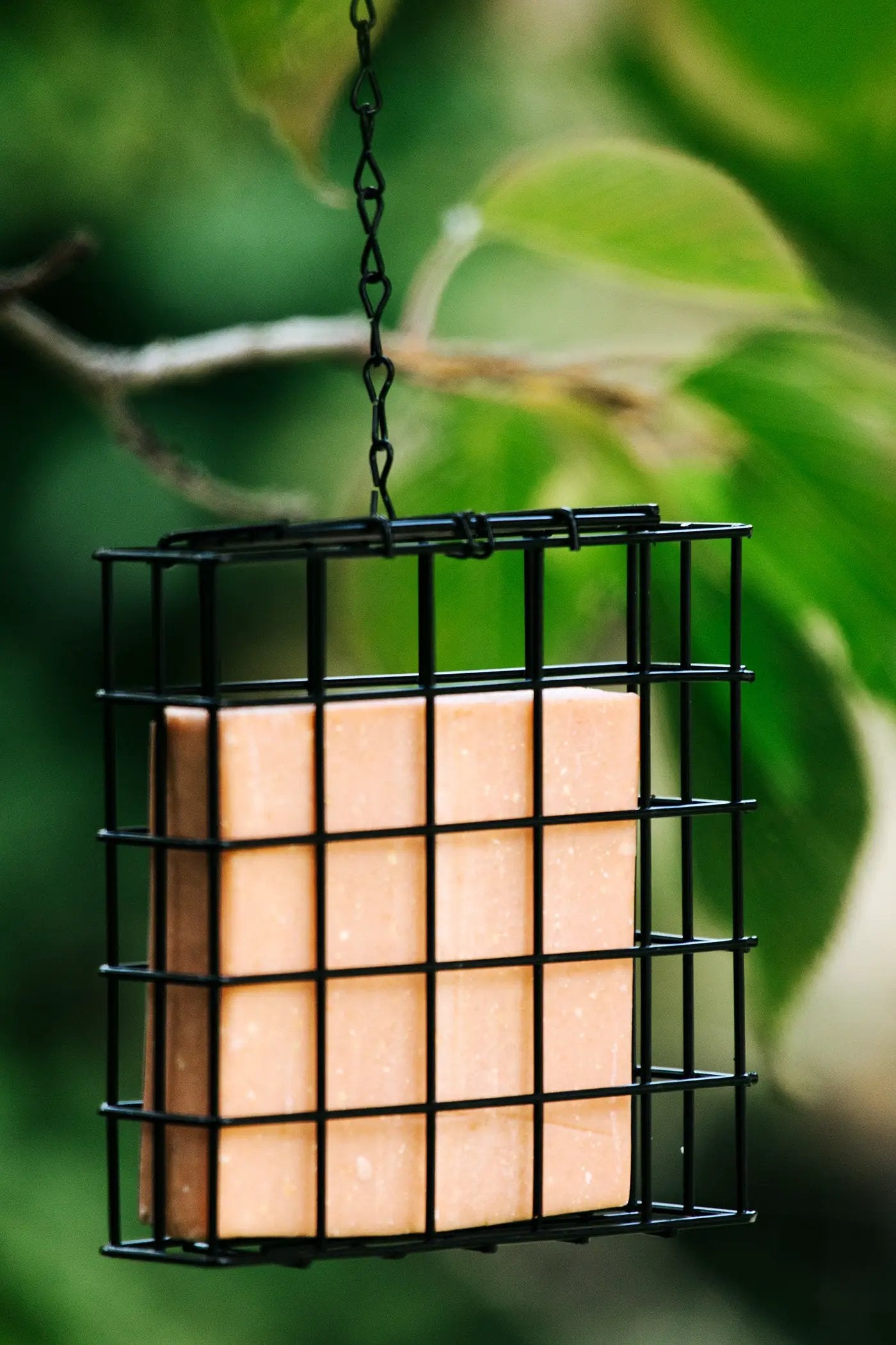 Topflite Wild Bird Energy Cake Feeder Set by Topflite LTD
