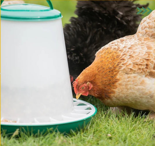 Chicken Feeder 3kg with Handle & Cover - The Chook Barn