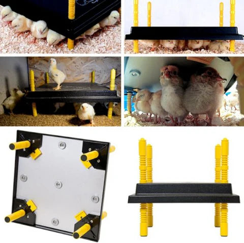 Comfort Chicks Heat Plate 60 x 40cm - The Chook Barn