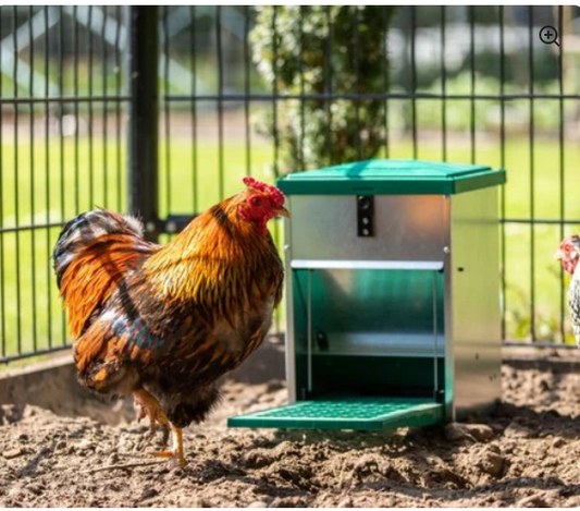 Feed-o-Matic Automatic Chicken Feeder 12kg - The Chook Barn