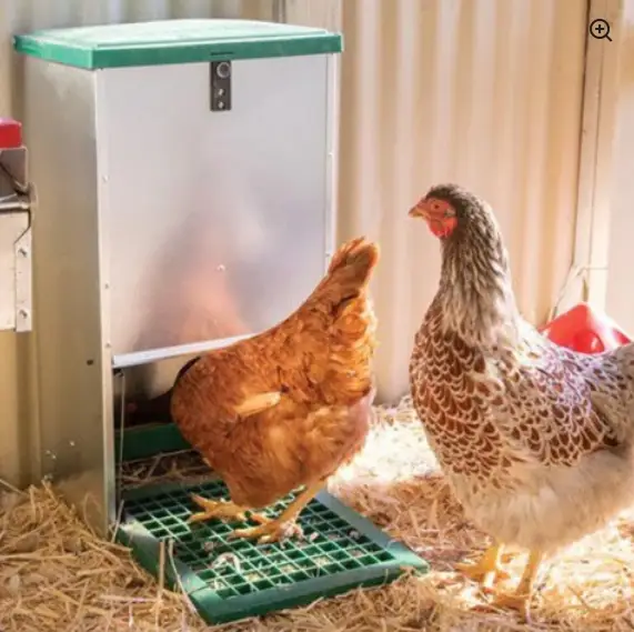 Feed-o-Matic Automatic Chicken Feeder 12kg by The Chook Barn