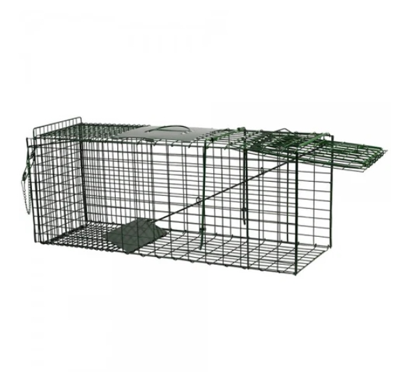 Live Capture Cage Trap Large Single Entry - The Chook Barn