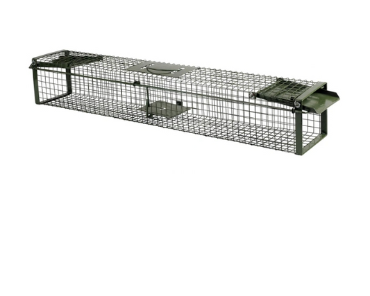 Live Capture Trap Double Entry Long Medium - The Chook Barn