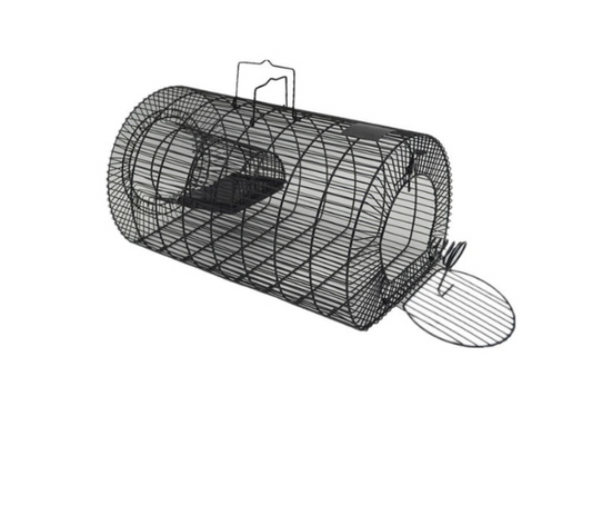 Live Capture Trap Multi Catch Medium - The Chook Barn