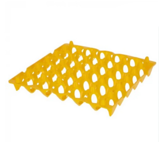 Plastic Egg Tray Single multiple color's - The Chook Barn