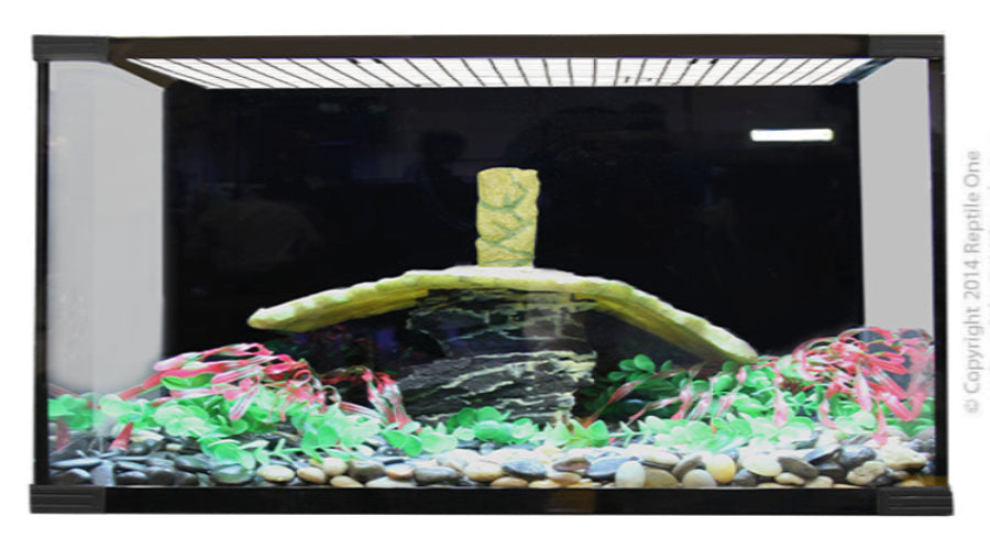 Reptile One Turtle Eco 120 Glass Tank 120X60X50Cm - The Chook Barn