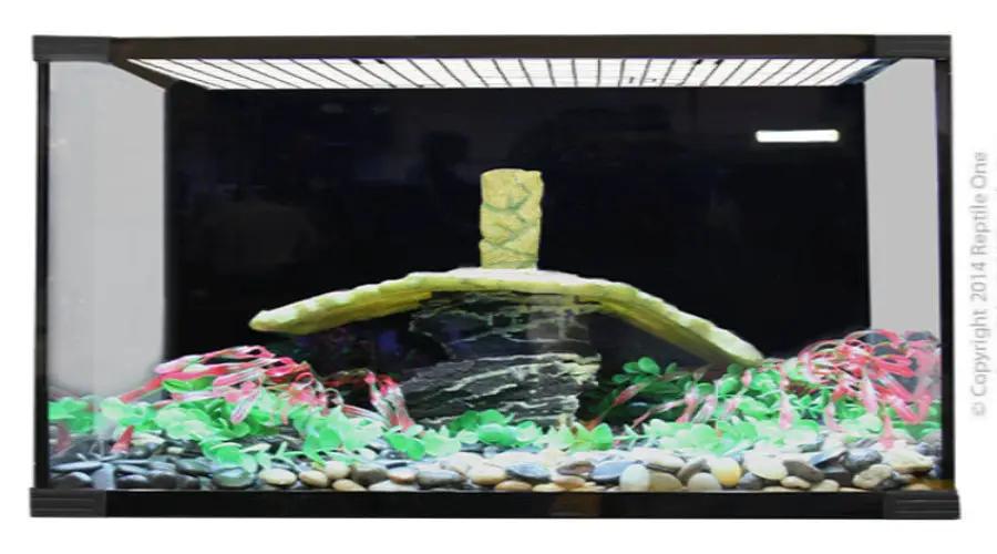 Reptile One Turtle Eco 120 Glass Tank 120X60X50Cm by Pet One
