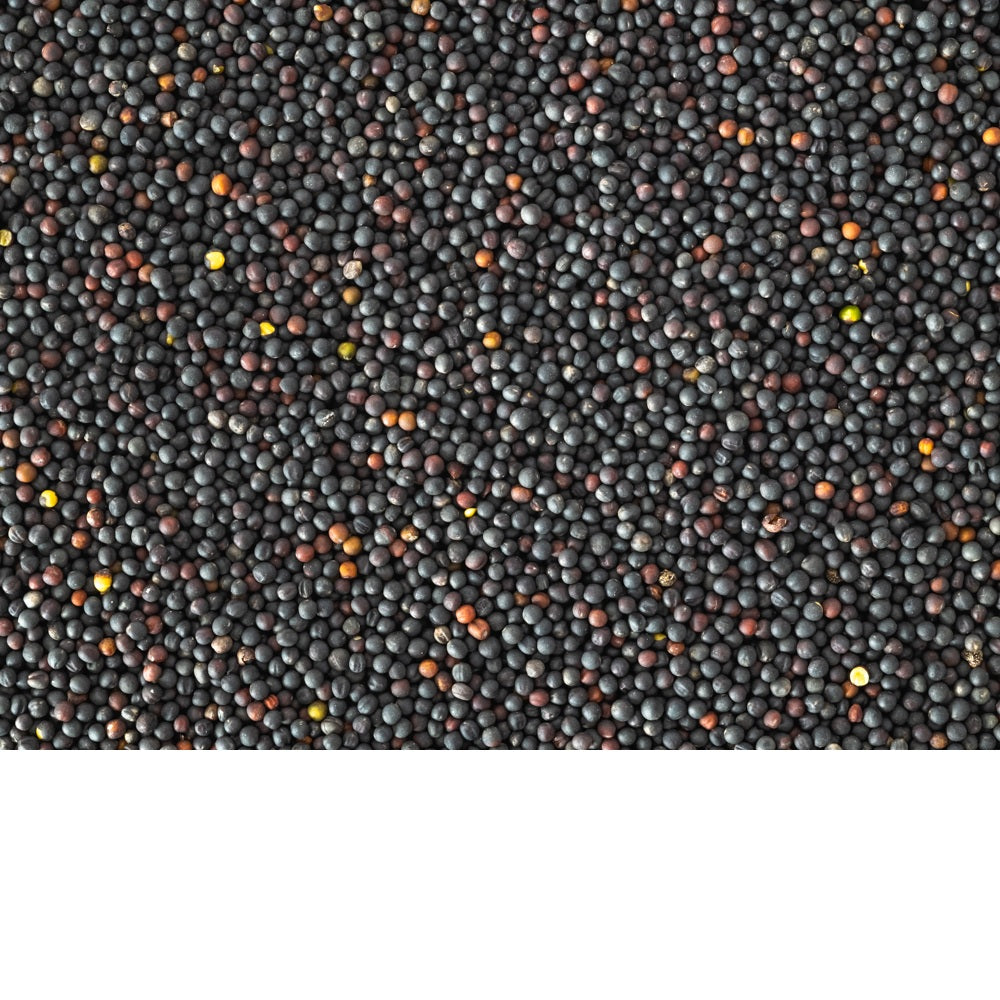 Topflite Oilseed Bird Rape 20 KG - The Chook Barn