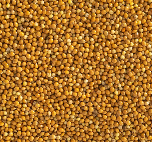 Topflite Panicum (Hungarian Millet) 20 KG - The Chook Barn