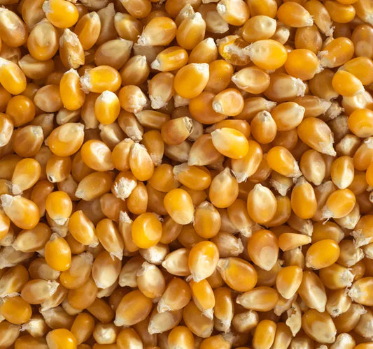 Topflite Popcorn 20 KG - The Chook Barn