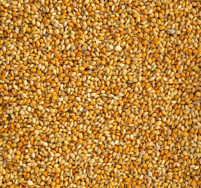 Topflite Red Panicum 20 KG - The Chook Barn