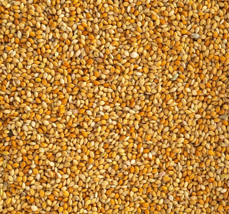 Topflite Red Panicum 20 KG by The Chook Barn
