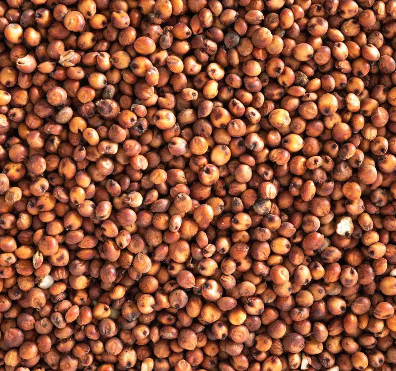 Topflite Red Sorghum 20 KG by The Chook Barn