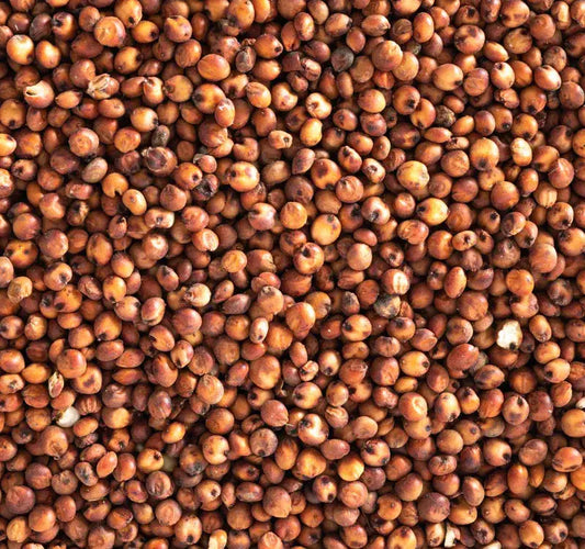 Topflite Red Sorghum 20 KG by The Chook Barn