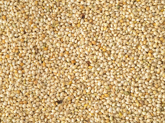 Topflite White French Millet 20 KG by The Chook Barn