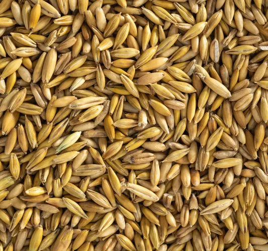 Topflite Whole Oats by The Chook Barn