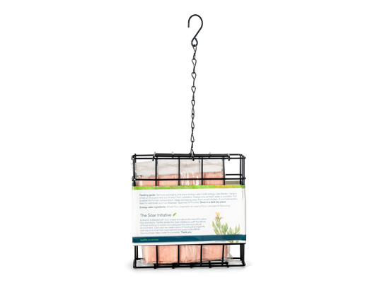 Topflite Wild Bird Energy Cake Feeder Set by Topflite LTD