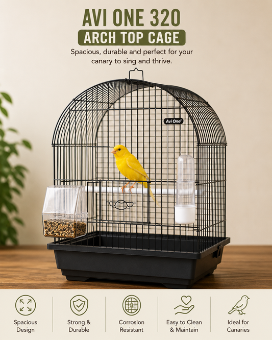 Complete Canary Starter Kit with Male Singing Canary and Cage