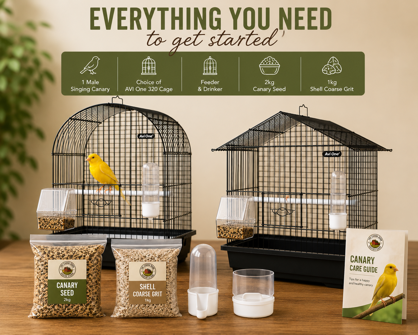 Complete Canary Starter Kit with Male Singing Canary and Cage