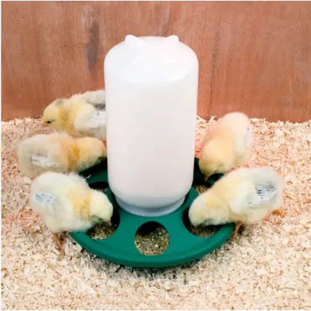 Jar Feeder 1KG 7 hole for chicks & quails - The Chook Barn