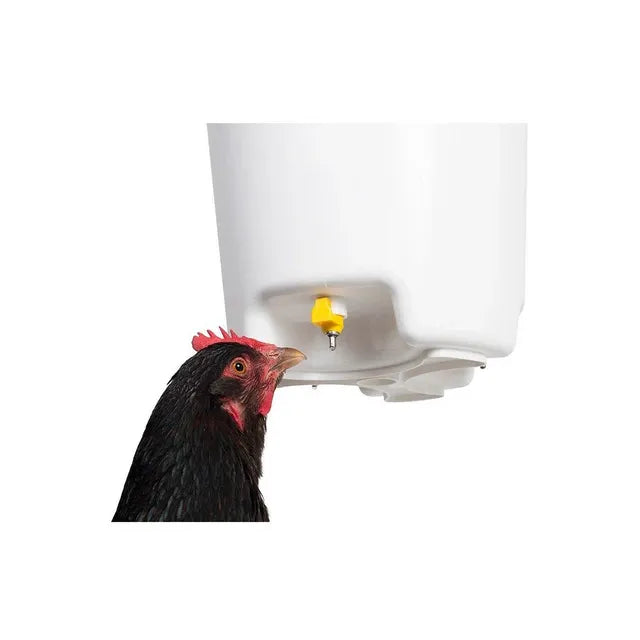 Drink-o-Matic 12L Poultry Hanging Bucket Drinker with Nipples - The Chook Barn