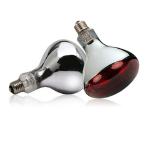 250 Watt InfraRed "Twin Pack" Bulb - The Chook Barn