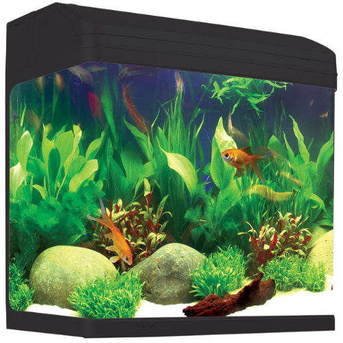 Aqua One Ar620 Aquastyle Tank (Gloss Black ) 90L - The Chook Barn