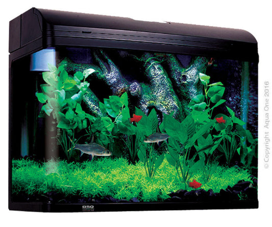 Aqua One Ar850 Aquastyle Tank (Gloss Black ) 165L - The Chook Barn