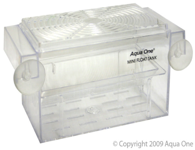 Aqua One - Breeder Guppy Tank (16X8X7.5Cm) - The Chook Barn