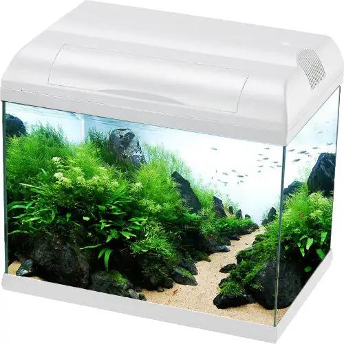 Aqua One EcoStyle 61 Rectangular Aquarium White 70L by Pet One