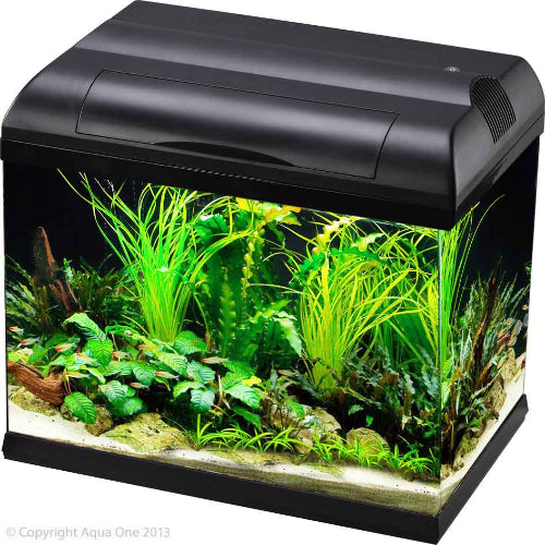 Aqua One Ecostyle 37 Rectangular Aquarium (Black) 21L - The Chook Barn