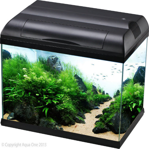 Aqua One Ecostyle 47 Rectangular Aquarium (Black) 38L - The Chook Barn