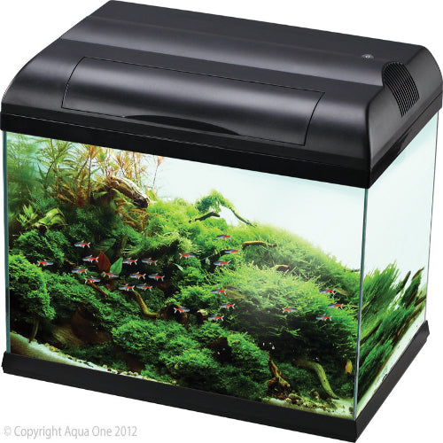 Aqua One Ecostyle 81 Rectangular Aquarium (Black) 127L - The Chook Barn