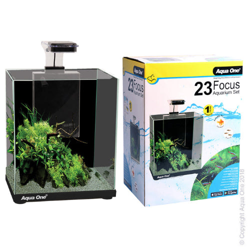Aqua One Focus 23 Glass Aquarium 23L 30L X 22D X 41Cm H (Black) - The Chook Barn