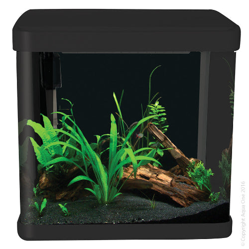 Aqua One Lifestyle 21 Complete Glass Aquarium 32Cm  21L Gloss Black - The Chook Barn