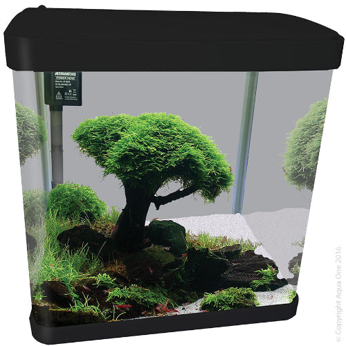 Aqua One Lifestyle 29 Complete Glass Aquarium 39cm 29L Gloss Black - The Chook Barn