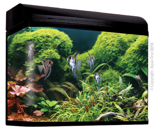 AquaStyle 980T 240L Tall Curved Glass Aquarium Gloss Black - The Chook Barn